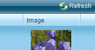Binary Images and Upload in Grid Demo