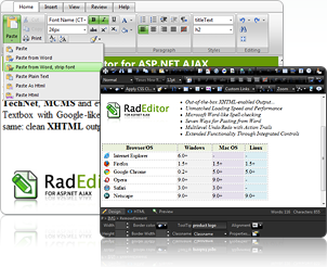 RadEditor Control Overview