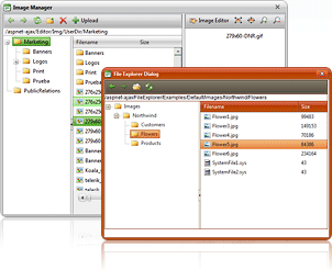 RadFileExplorer Control Overview