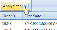RadGrid filtering with RadFilter Demo