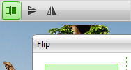 Flip Image Demo