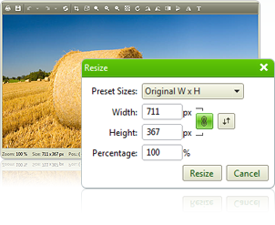 RadImageEditor Control Overview
