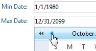 Date Input Demo