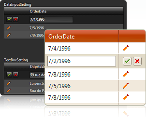 RadInput Control Overview